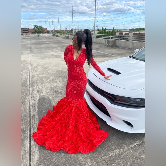 Prom Dress - Picture 3 of 3